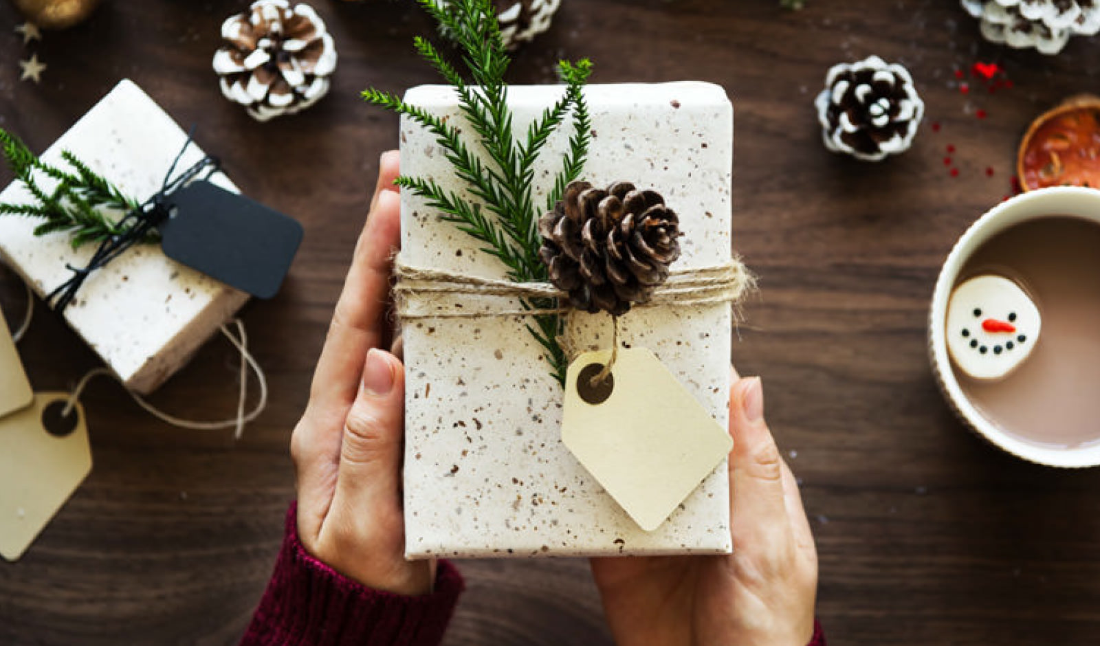 Hands holding a Christmas present