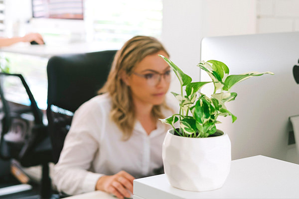 woman working on computer with plant in foreground