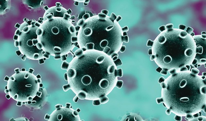 coronavirus