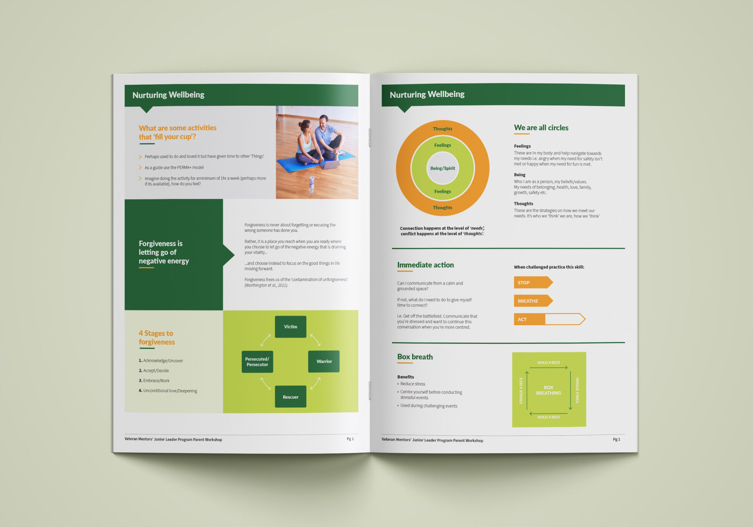 Inside spread of Veteran Mentors brochure