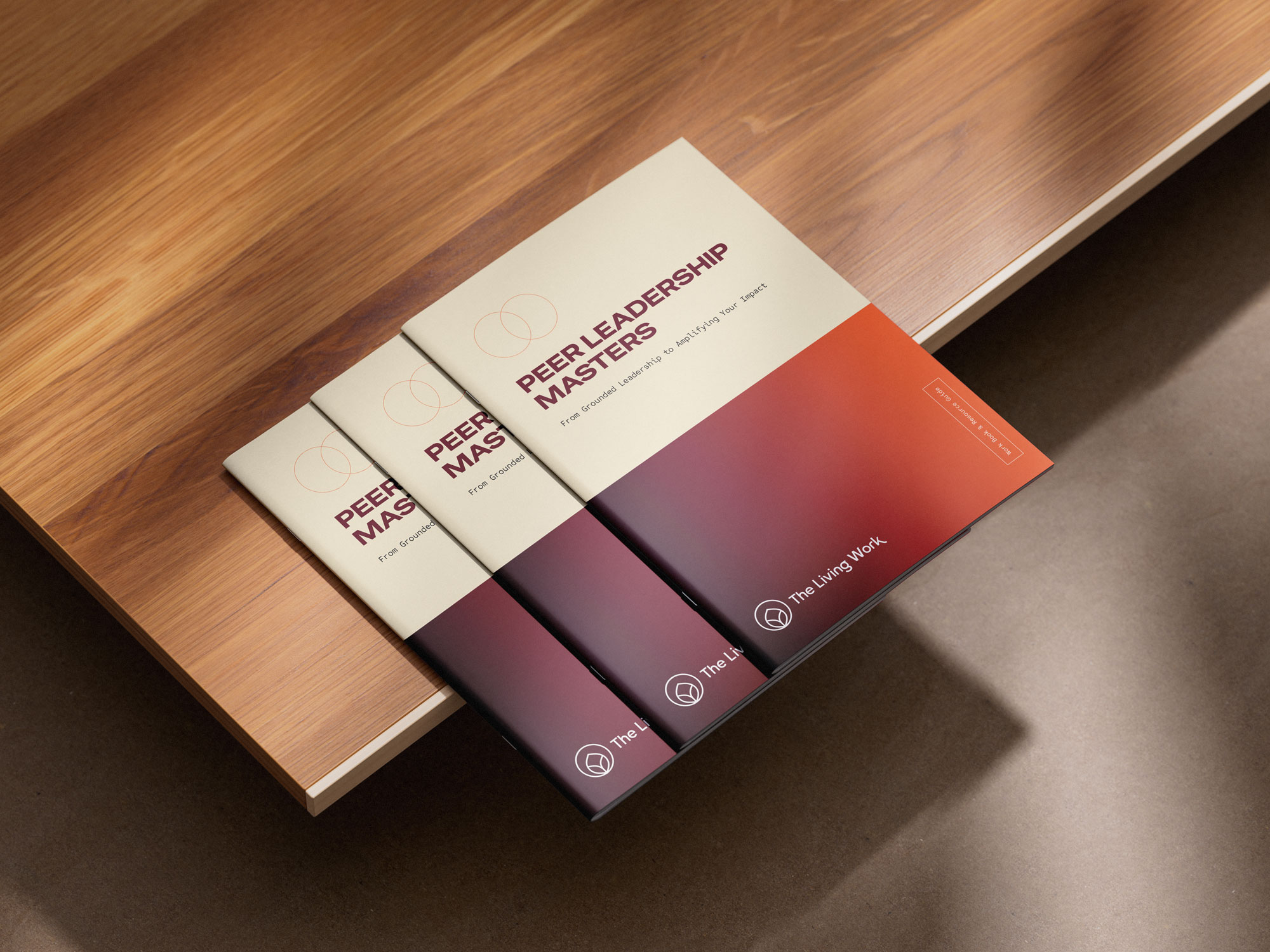 the living work peer leadership masters booklet design